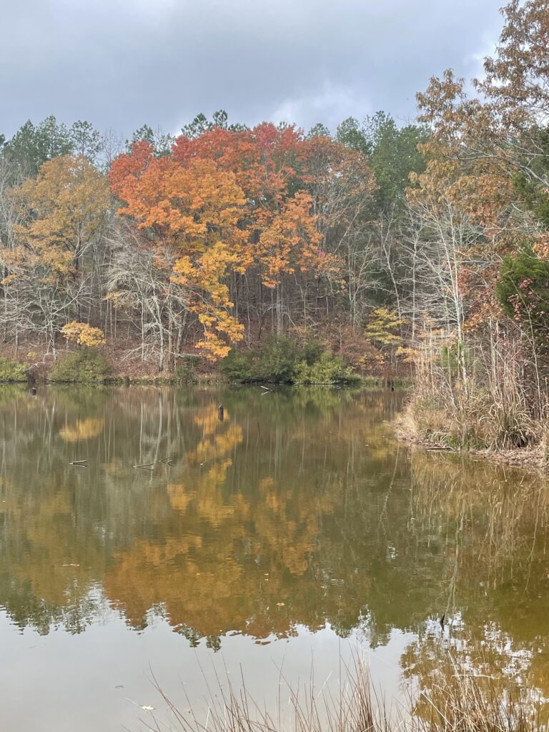 Remembering the Fall