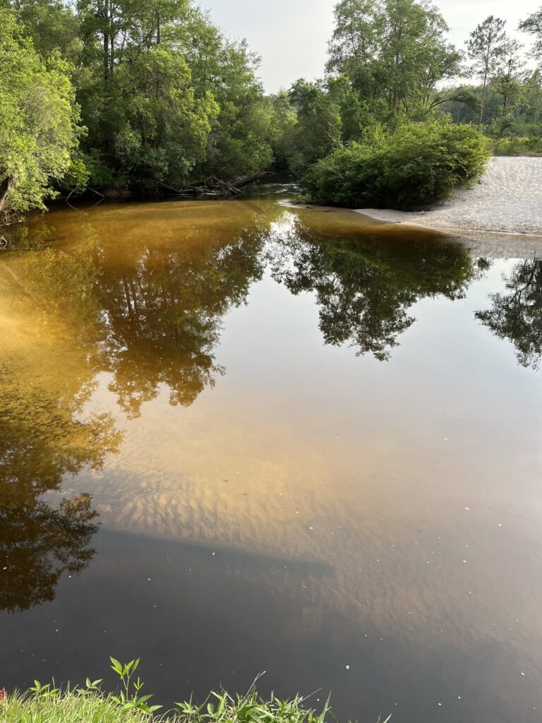 Brushy Creek