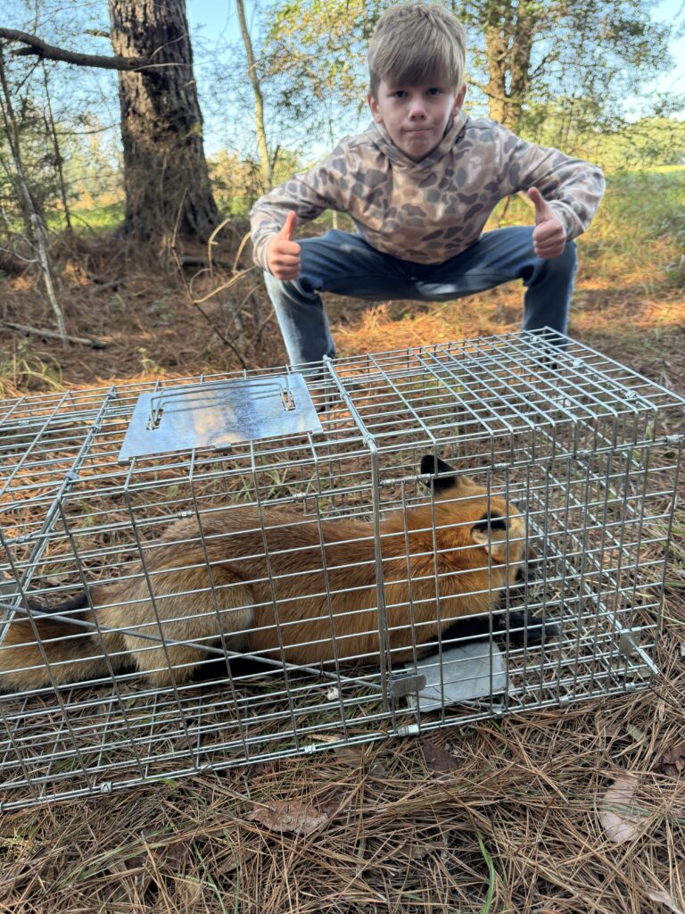 Trapping