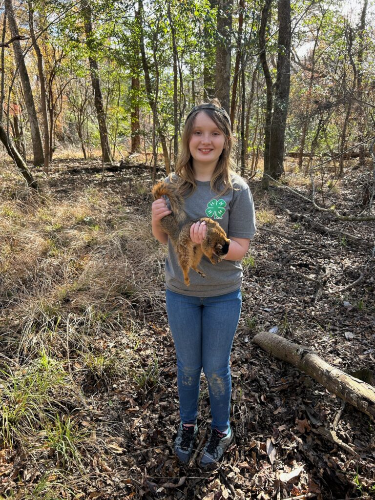 1st Squirrel