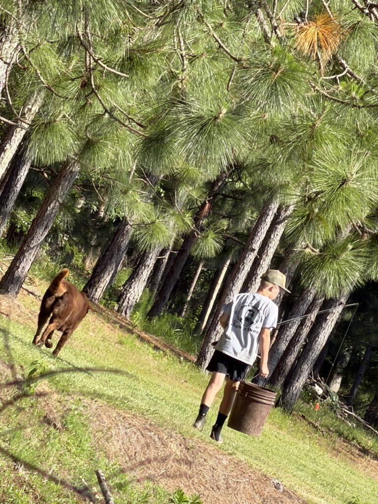 Beau Boy and Bueax Dog